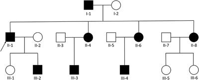 A Chinese Family With Cerebral Cavernous Malformation Caused by a Frameshift Mutation of the CCM1 Gene: A Case Report and Review of the Literature